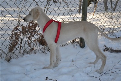 Eudora 4 months