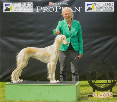 Ch Kirman Eudora Club Winner 2014