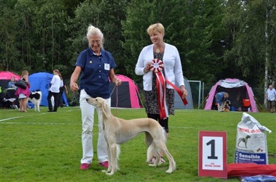 Ch Kirman Eudora BIS Svenstavik 2014