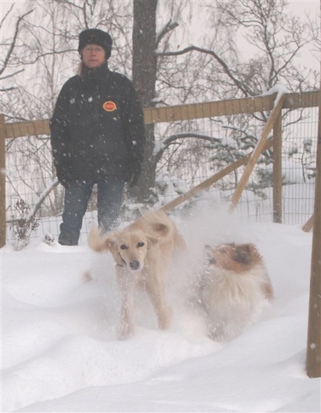 Karin, Velika, Steffie i snö