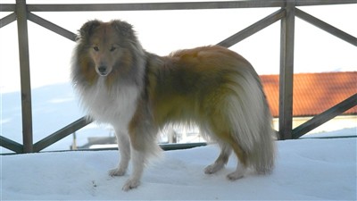 MollyVadholma1year