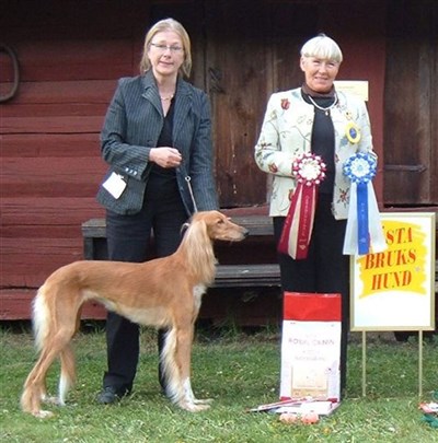 BIS bruks Lena Stålhandske