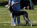 2016-06-11_vanersborg_amiyat_dantooine.jpg