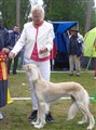 EudoraBIR_Permo_Böda20150905_P1000363.jpg