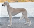 Eudora_lighter_ljusare_140916.jpg