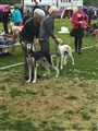 IMG_1557.JPG