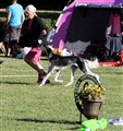 IMG_2056.JPG