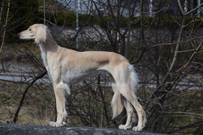 Eudora 19 mån