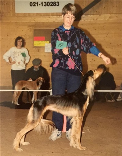 Kashmanis Niobe Enköping91