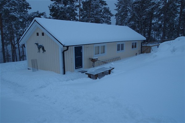 Vårt hundhus